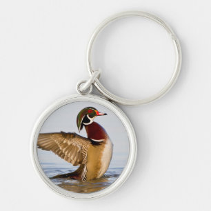 Wood Duck male flapping wings in wetland Keychain