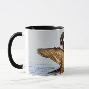 Wood Duck male flapping wings in wetland Mug