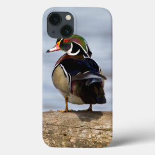 Wood Duck male on log in wetland iPhone 13 Case