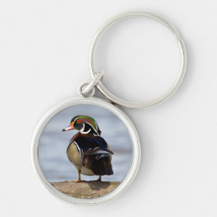 Wood Duck male on log in wetland Keychain