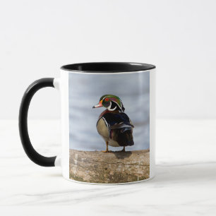 Wood Duck male on log in wetland Mug