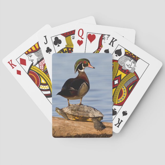 Wood Duck male standing on Red-eared Slider Playing Cards (Back)