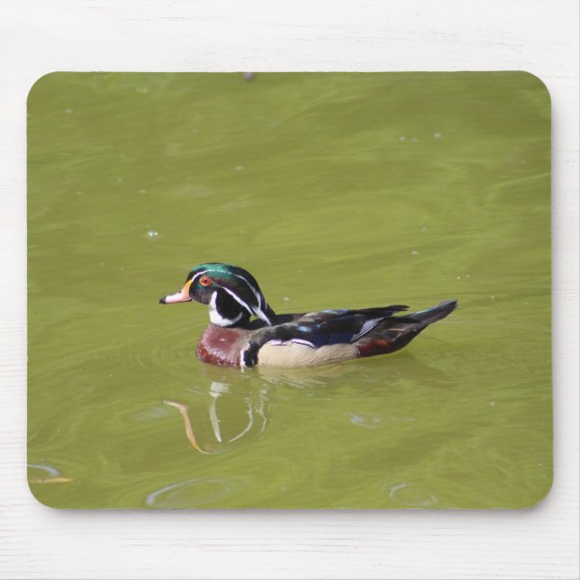 Wood duck mouse pad (Front)
