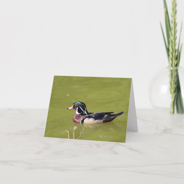 Wood duck note card (Front)