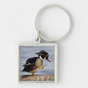 Wood Duck on log in wetland Keychain