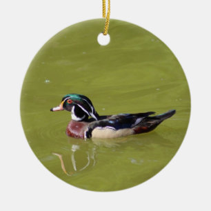 Wood duck ornament