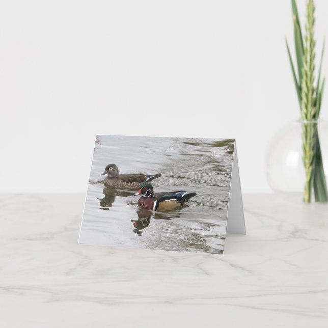 Wood Duck Pair Card (Front)