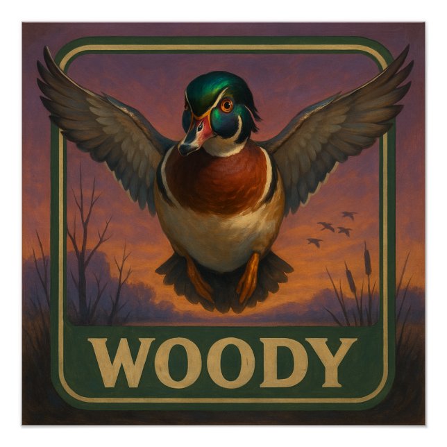 Wood Duck Poster (Front)
