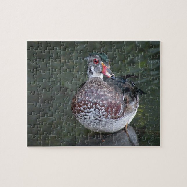 Wood Duck Puzzle (Horizontal)