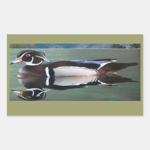 Wood Duck Reflection Stickers