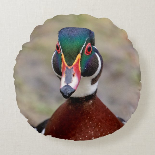 Wood Duck Round Pillow (Front)