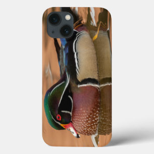 Wood duck swimming in water iPhone 13 case