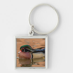 Wood duck swimming in water keychain