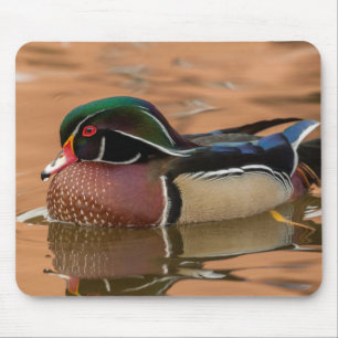 Wood duck swimming in water mouse pad