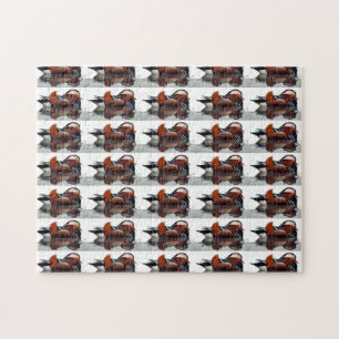 Wood Duck Thunder_Cove   Jigsaw Puzzle