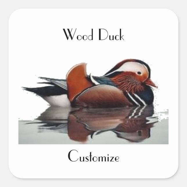 Wood Duck Thunder_Cove  Square Sticker (Front)
