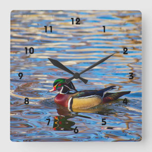 Wood Duck Wall Clock