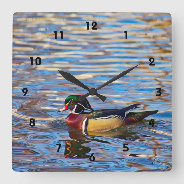 Wood Duck Wall Clock (Front)