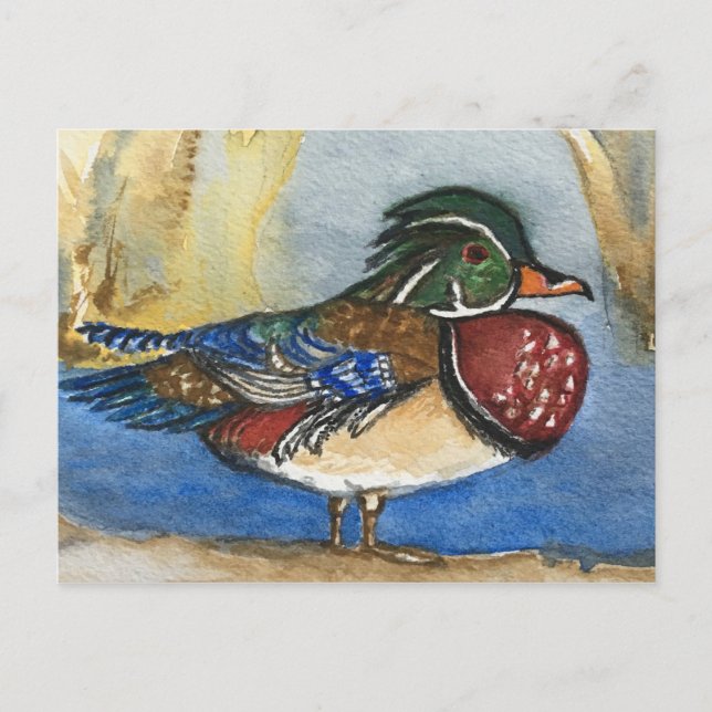 Wood Duck Watercolor Bird Painting Postcard (Front)