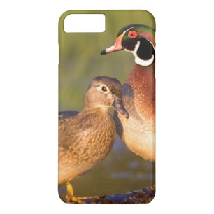 Wood Ducks and female on log in wetland Case-Mate iPhone Case
