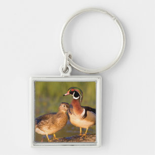 Wood Ducks and female on log in wetland Keychain
