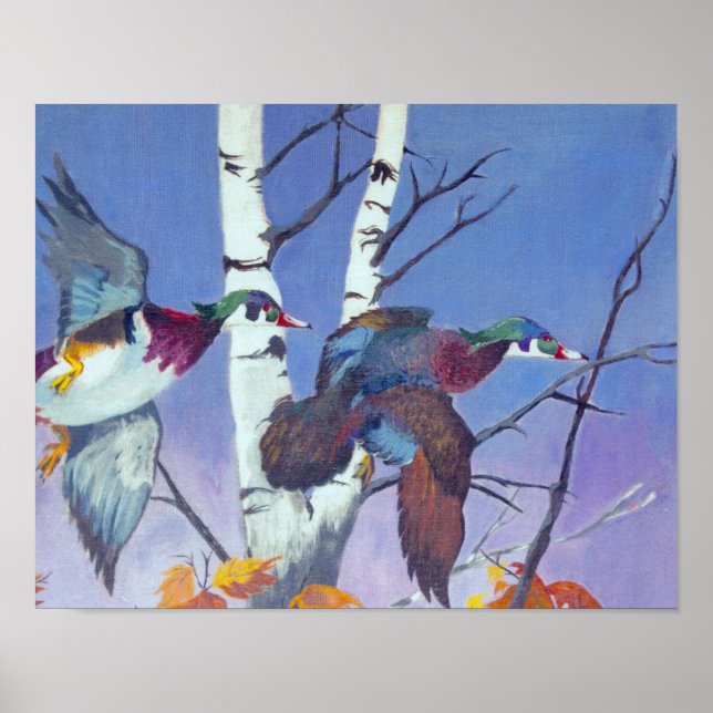 Wood Ducks Flying Poster (Front)