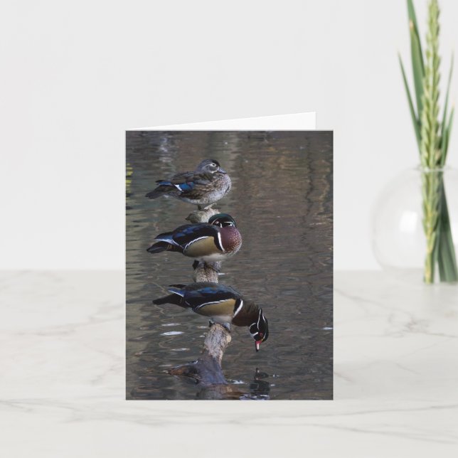 Wood Ducks on Branch Card (Front)