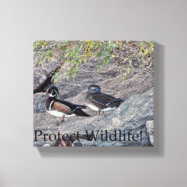 Wood Ducks Protect Wildlife Canvas Print (Front)