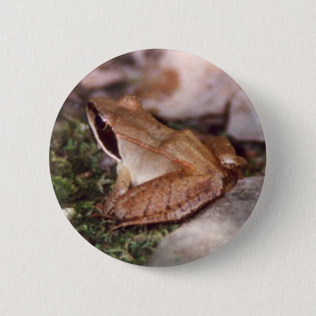 Wood Frog 2 Inch Round Button (Front)