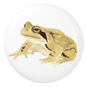 Wood Frog Ceramic Knob