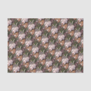 Wood Frog Tissue Paper