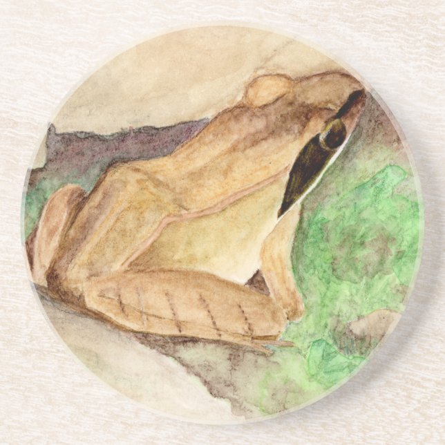 Wood Frog Watercolor Coaster (Front)