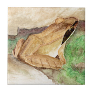 Wood Frog Watercolor Tile