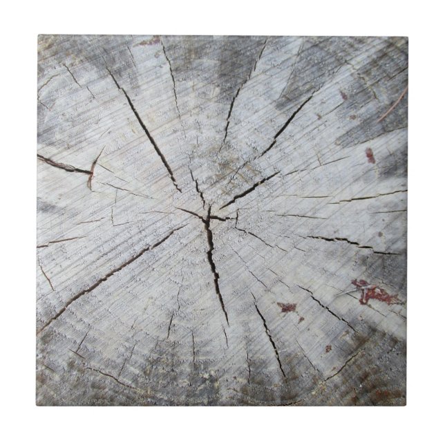 Wood Grain Grey Pine Tree Stump Photo Art 1 Tile (Front)