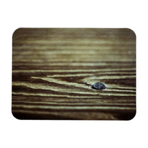 Wood Grain Texture by Shirley Taylor Magnet