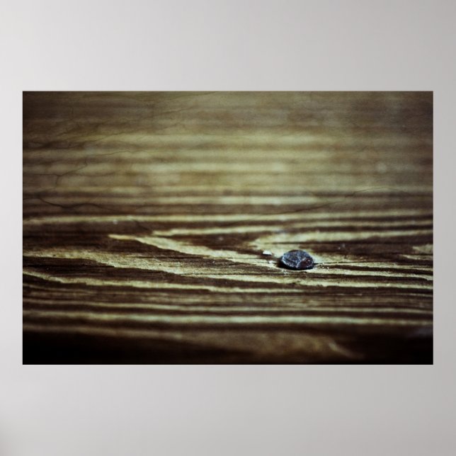 Wood Grain Texture by Shirley Taylor Poster (Front)