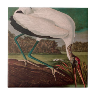 Wood Ibis Birds of America Audubon Print Tile