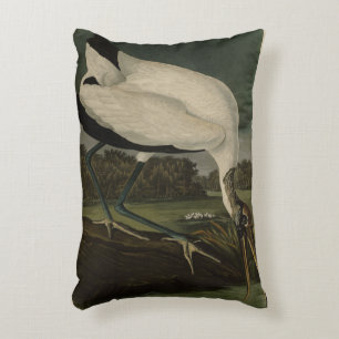 Wood Ibiss (Ibis, Stork): Audubon Birds of America Accent Pillow