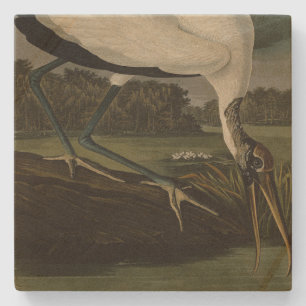 Wood Ibiss (Ibis, Stork): Audubon Birds of America Stone Coaster