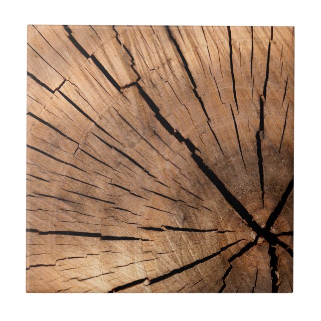 Wood Log Tile (Front)