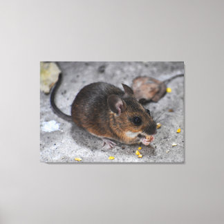 Wood Mouse Canvas Print