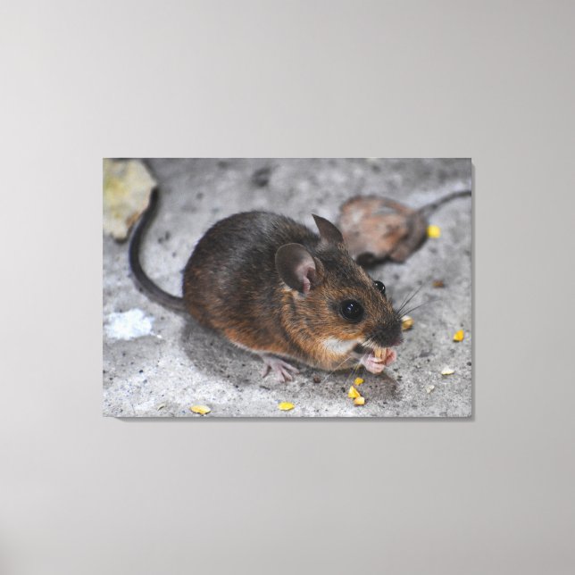 Wood Mouse  Canvas Print (Front)