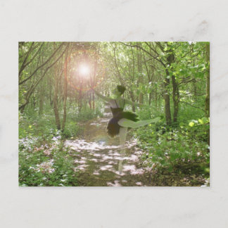 Wood Nymph Postcard