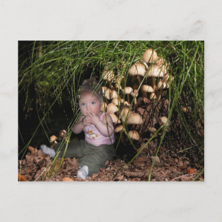 Wood on the tree postcard