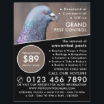 Wood Pigeon, Pest Control Advertising Flyer<br><div class="desc">Wood Pigeon,  Pest Control Advertising Flyer by The Business Card Store.</div>