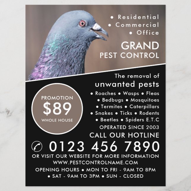 Wood Pigeon, Pest Control Advertising Flyer (Front)
