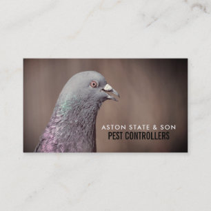 Wood Pigeon, Pest Control Business Card