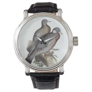 Wood Pigeon Watch