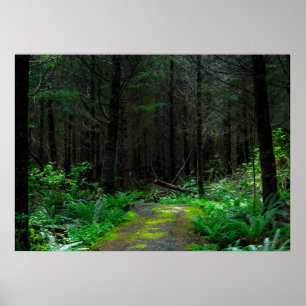 Wood Poster