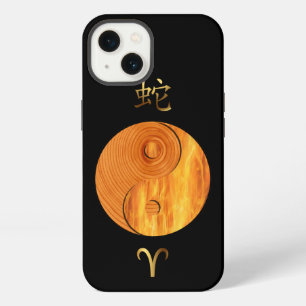 Wood Snake Year and Aries Fire sign case